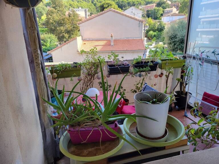 T3 AVEC BALCON + CAVE — photo 1