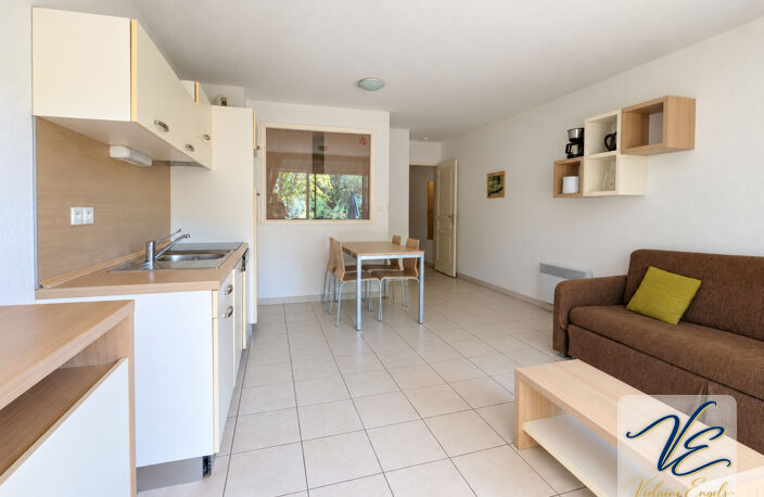 AZILLE – CHÂTEAU DE JOUARRES – APPARTEMENT MEUBLÉ EN REZ-DE-CHAUSSÉE AVEC TERRASSE ET PISCINE — photo 3