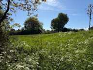 PERIGUEUX Terrain à vendre  COULOUNIEIX CHAMIERS (24) — photo 4