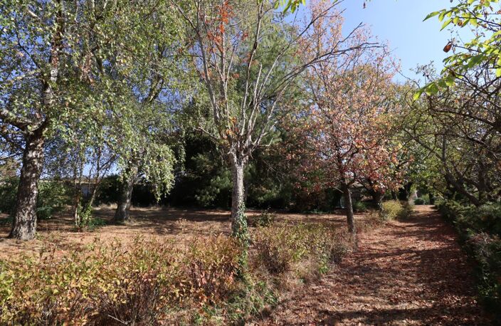 ENSEMBLE IMMOBILIER RARE AVEC MAISON, GÎTE ET 3 700 M² DE TERRAIN — photo 5