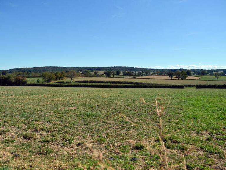 Maison à vendre 4 pièces CIRY LE NOBLE (71) — photo 1
