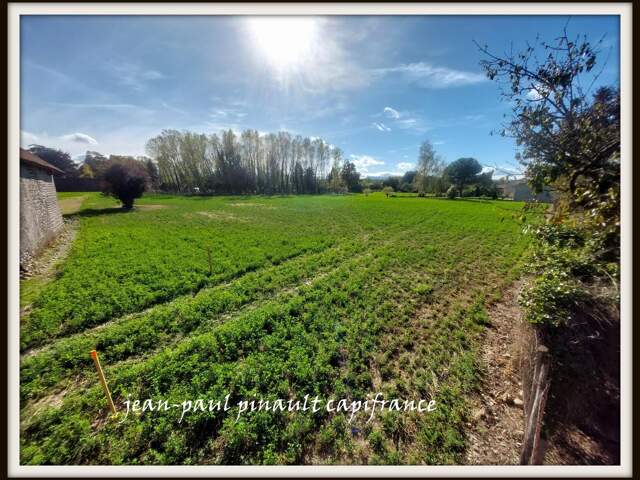 Terrain à vendre  MOMERES (65) — photo du bien