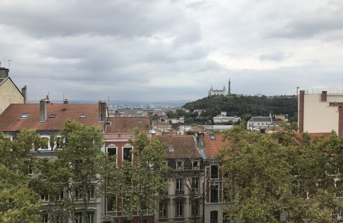 T3 — photo 3