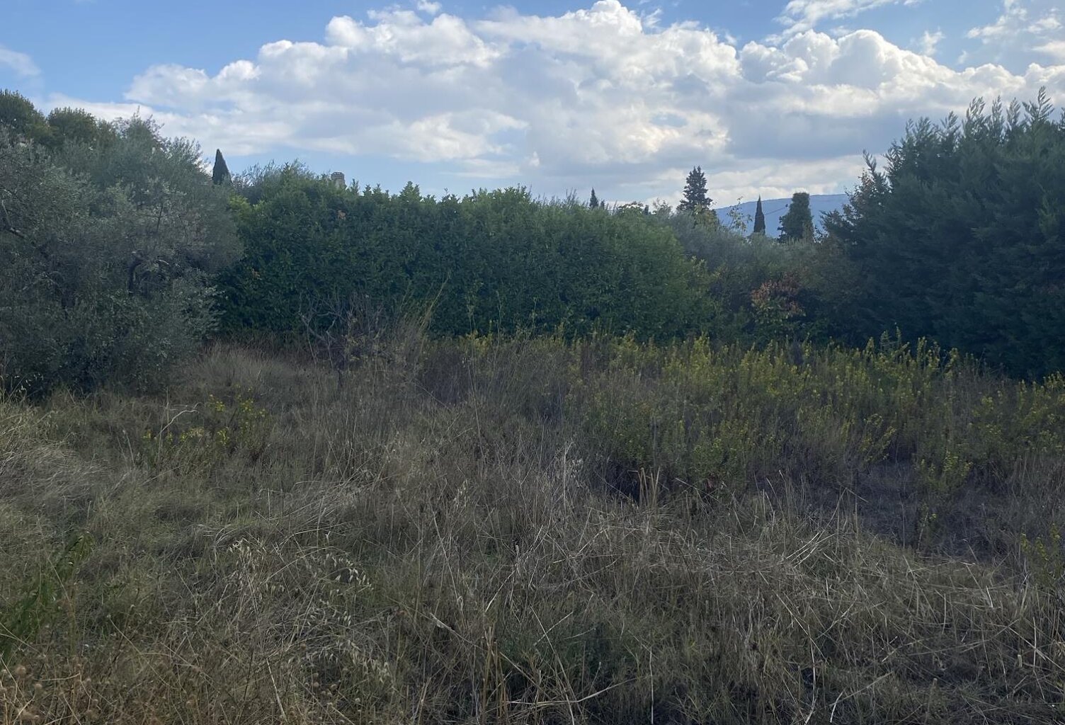 Vente terrain à construire 700 m² Pourrières (83910) — photo 1