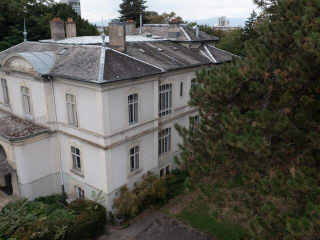 Maison de Maître - 800 m² - Mulhouse (68) — photo du bien