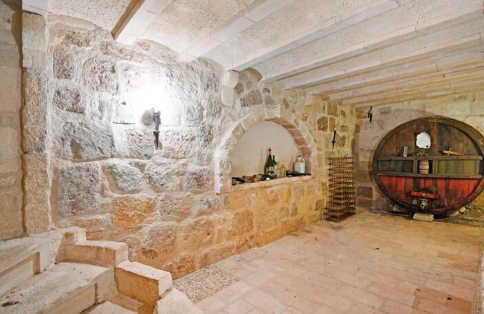 Maison de 7 pièces de 264 m² à Vauvert — photo 2