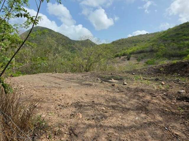 Terrain À Vendre — photo du bien