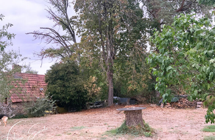 Maison de campagne 4 chambres avec dépendances 1 929 m²  à deux pas de la forêt — photo 5