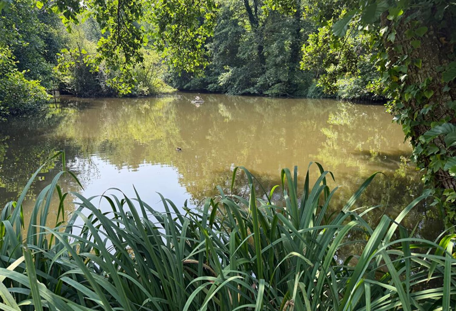 Terrain de loisirs Montgobert — photo 1