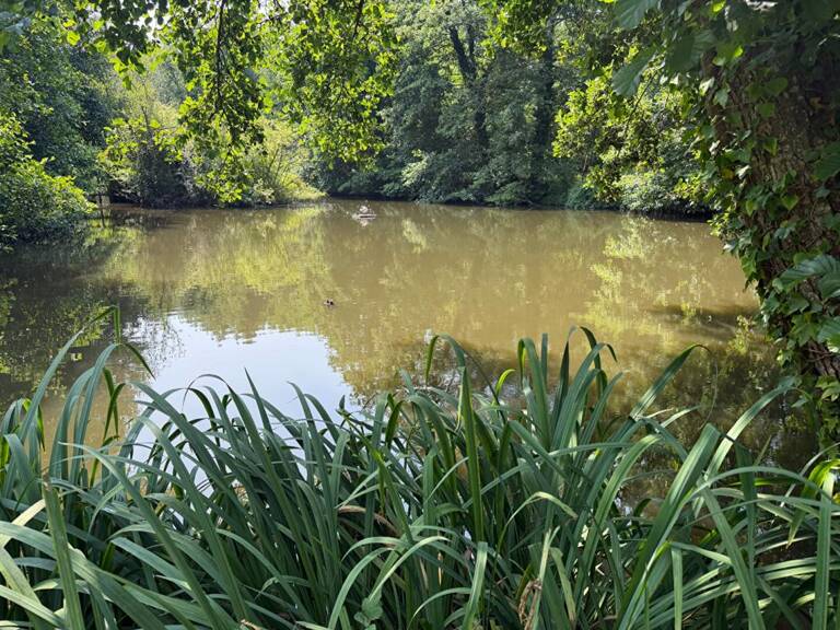 Terrain de loisirs Montgobert — photo 1