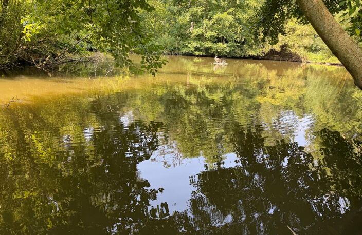 Terrain de loisirs Montgobert — photo 4