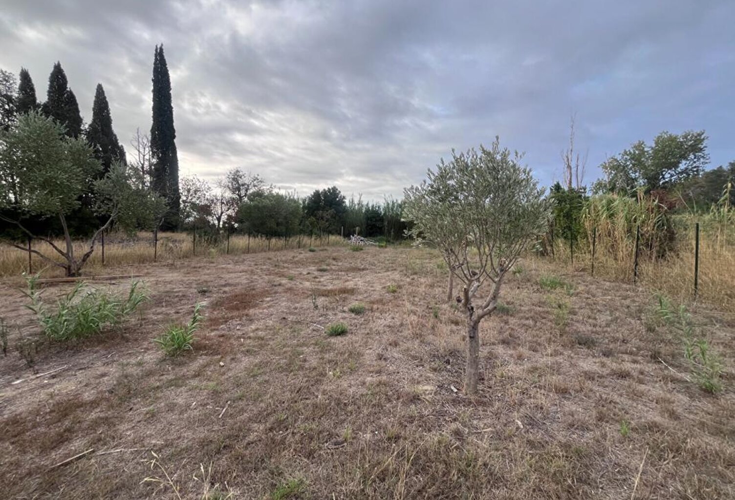 Magnifique terrain non constructible de 882 m², plat et clôturé  avec forage entre Rivesaltes et Espira — photo 1