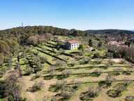Un Mas et son histoire en Provence — photo 3