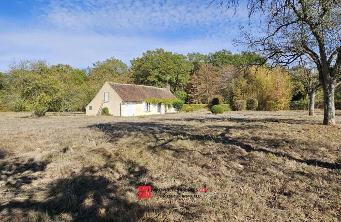 Charmante longère au calme, sans voisinage proche, sur plus de 1,2 hectare à Domats (89) — photo 4