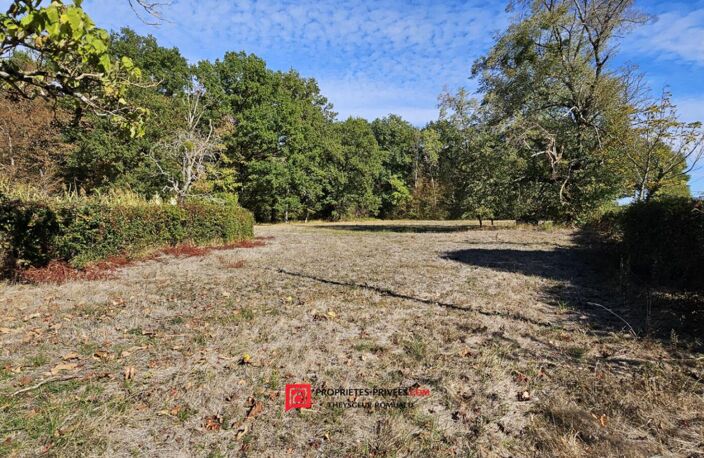 Charmante longère au calme, sans voisinage proche, sur plus de 1,2 hectare à Domats (89) — photo 5