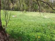 MIJOUX  Terrain à bâtir de 1 151 m² — photo 2
