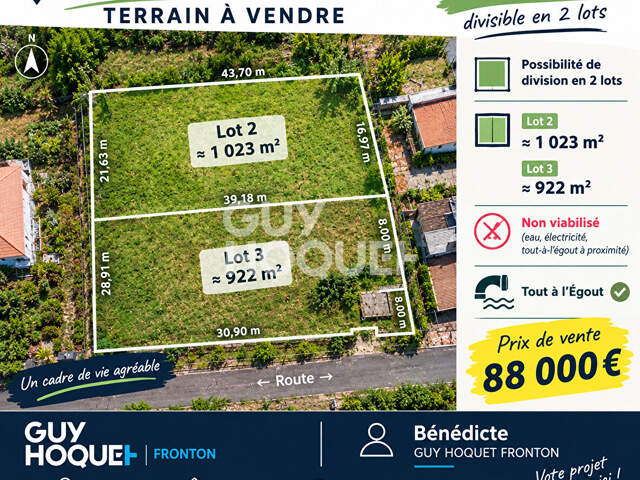 Terrain Labastide Saint Pierre — photo du bien