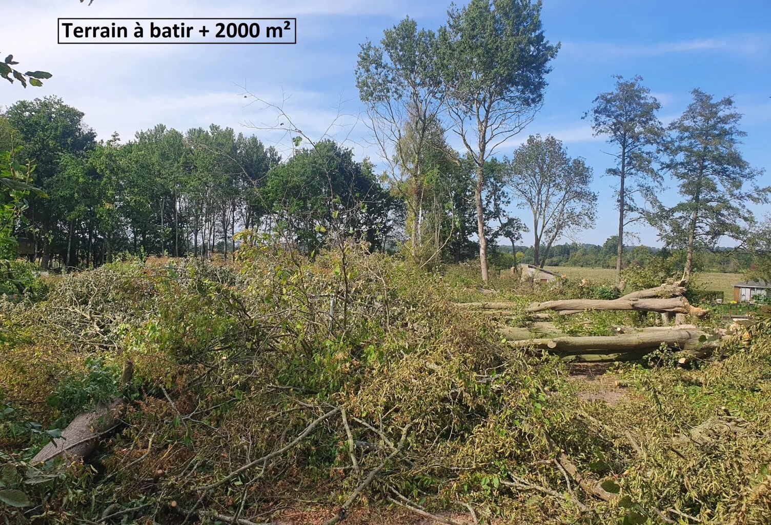 Terrain de 2207 m² — photo 1