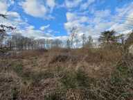 Terrain de 2207 m² — photo 2