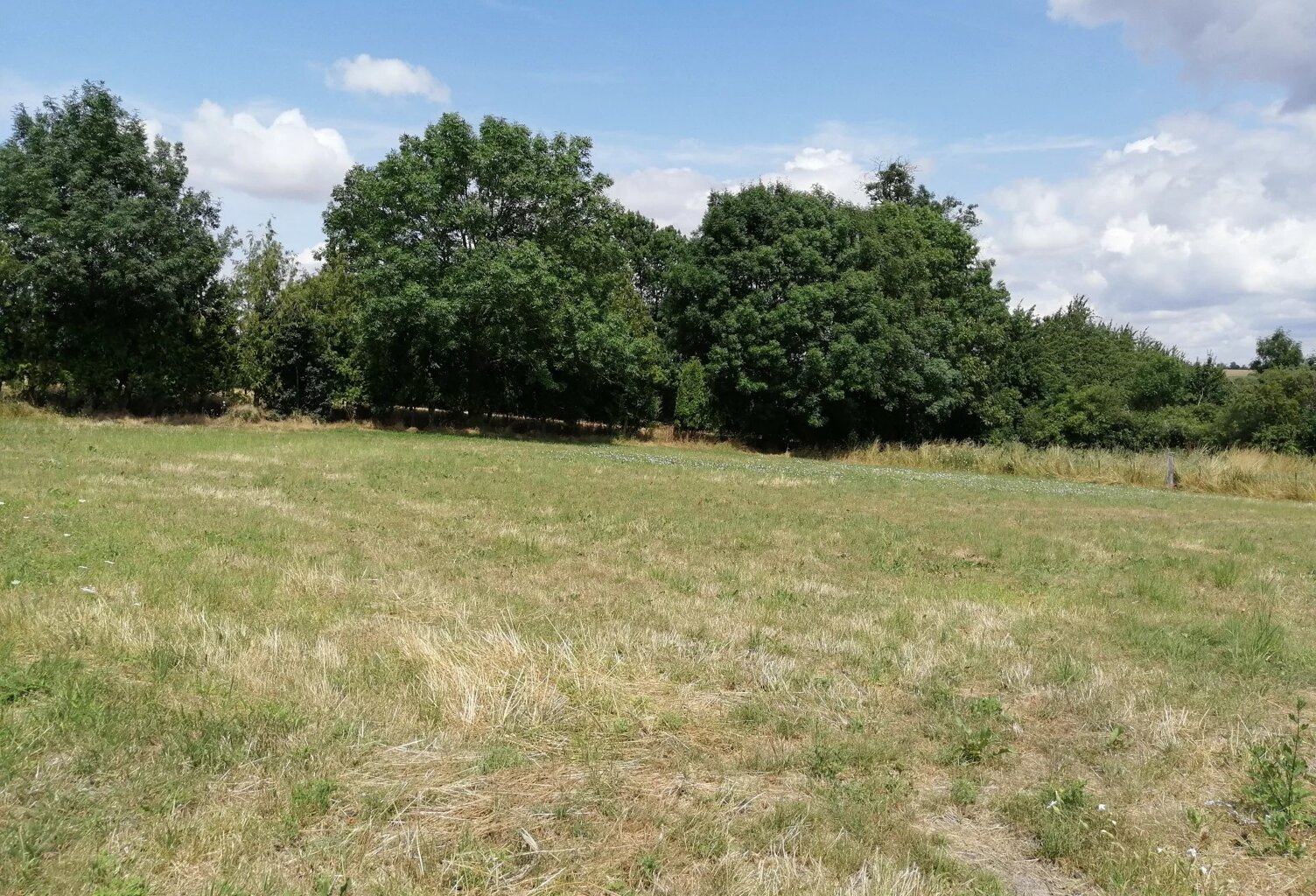 Vente terrain  1000 m² Hannaches (60650) — photo 1