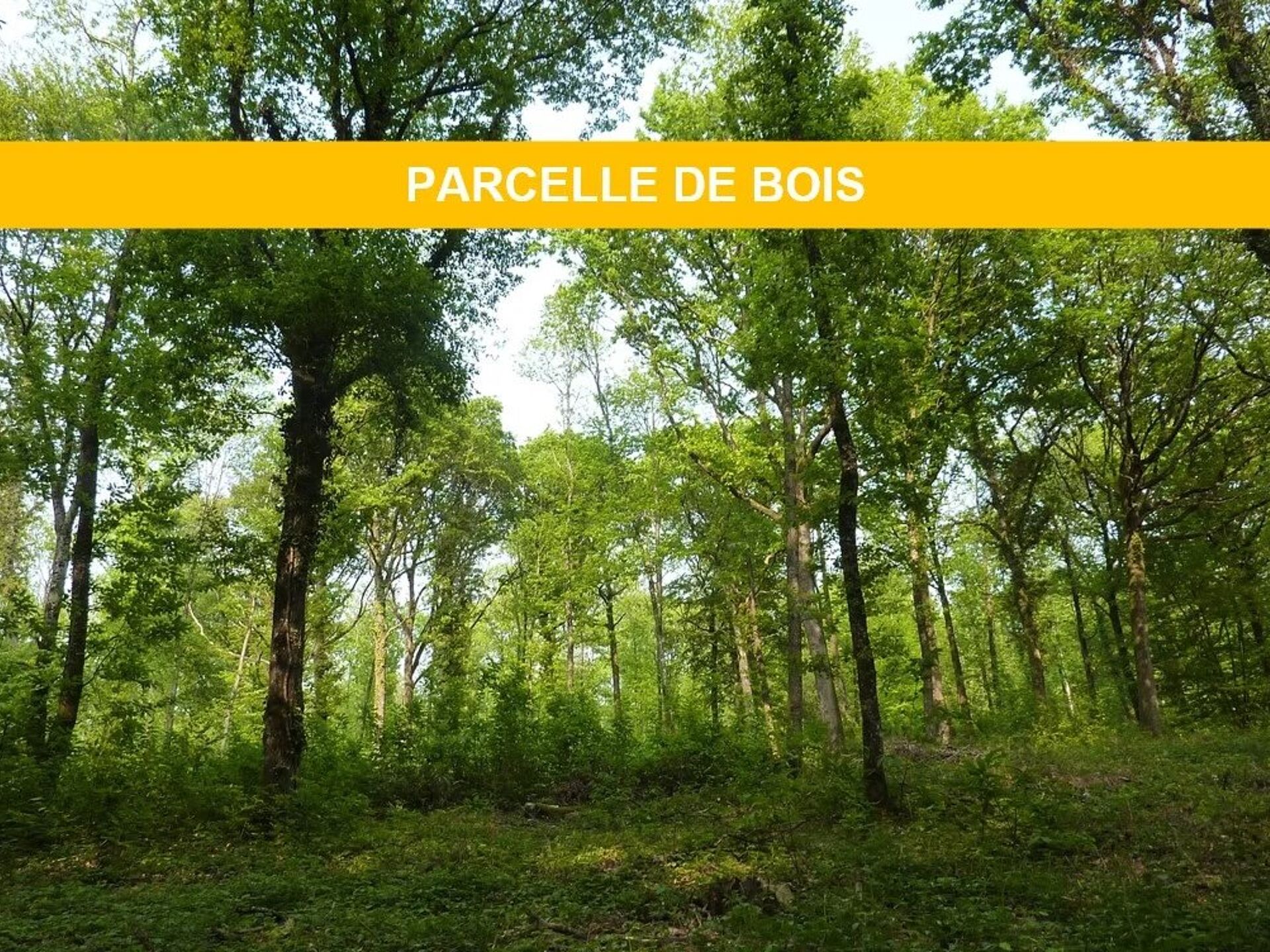 Terrain 12200 m² · à Sérifontaine · 16 500 €