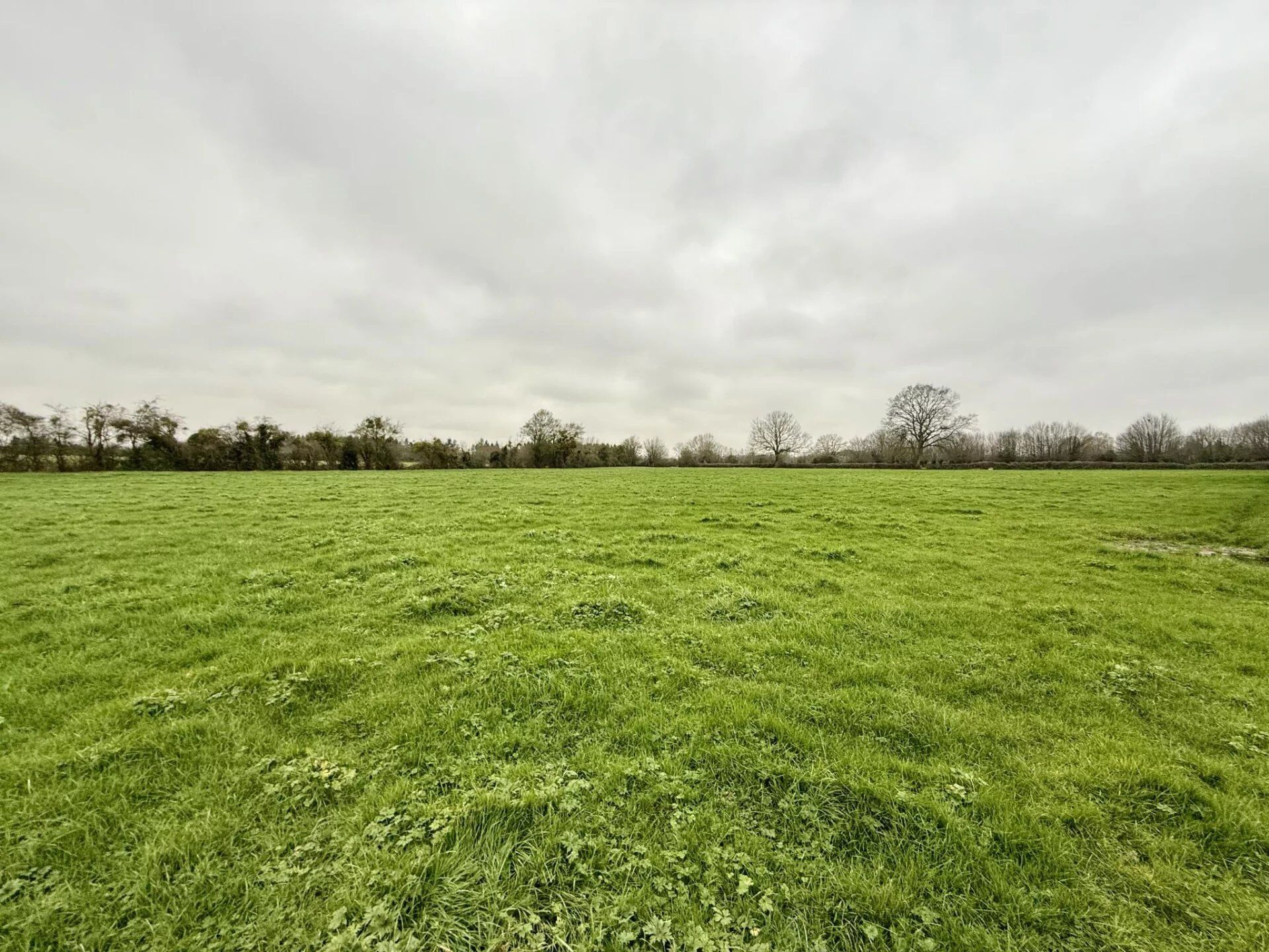 Terrain 20000 m² · à Rouen · 162 500 €