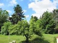 Charmante maison de 147 m² à La Feuillie — photo 2