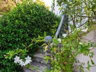 Tassin-La-demi-Lune - Le Bourg - Maison de charme de 220 m² utiles - 7 chambres - Jardin avec piscine - studio - Dépendance de 19m² environ — photo 2