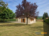 MAISON — photo 3