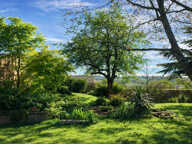01640 SAINT-JEAN-LE-VIEUX   295 m2 habitables + terrain 1 86 — photo 3