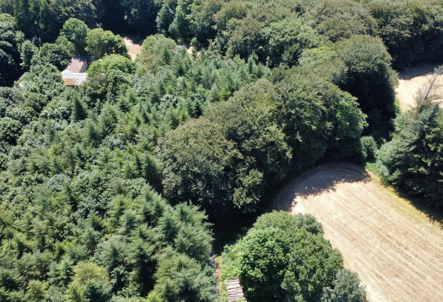 habitation et dépendances sur un terrain de 6 hectares — photo 1