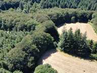 habitation et dépendances sur un terrain de 6 hectares — photo 2