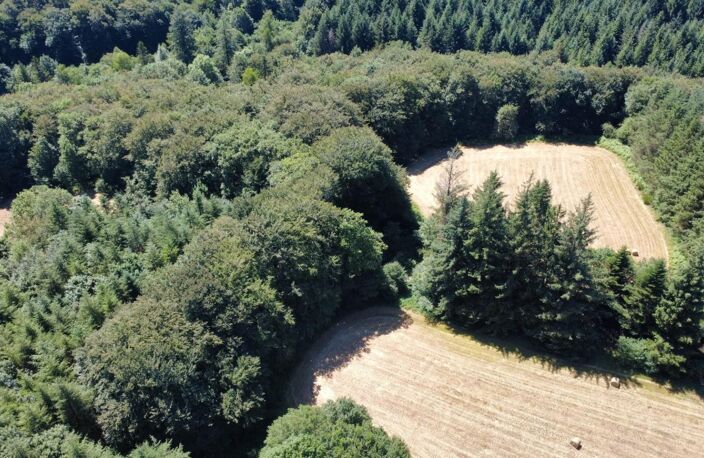 habitation et dépendances sur un terrain de 6 hectares — photo 2