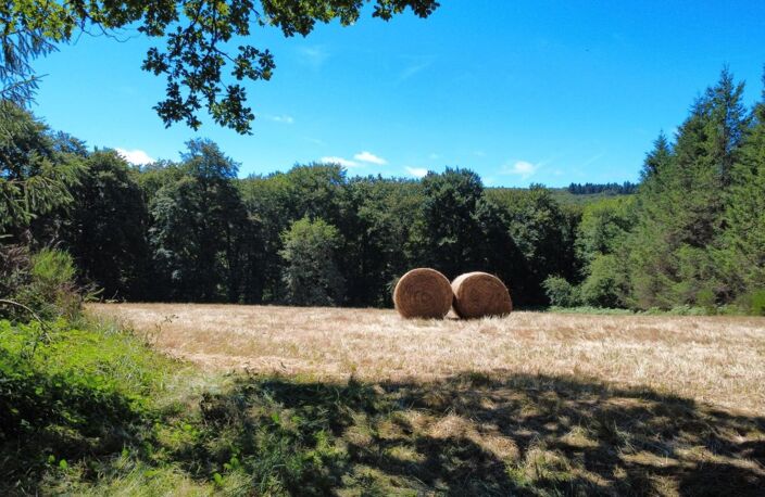 habitation et dépendances sur un terrain de 6 hectares — photo 3