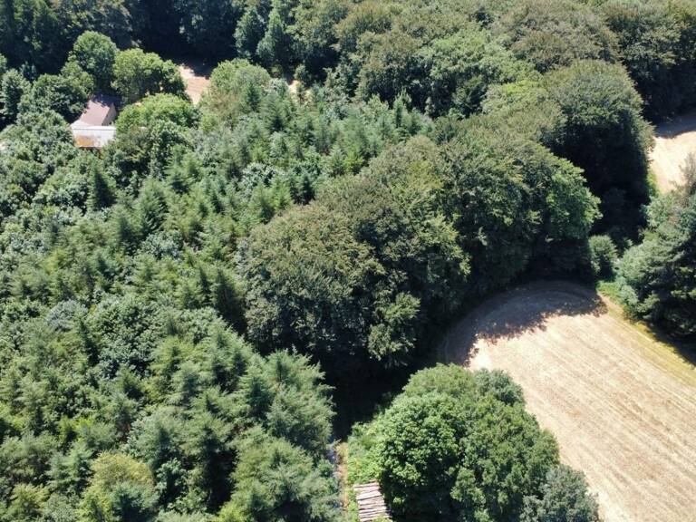 habitation et dépendances sur 6 hectares — photo 1