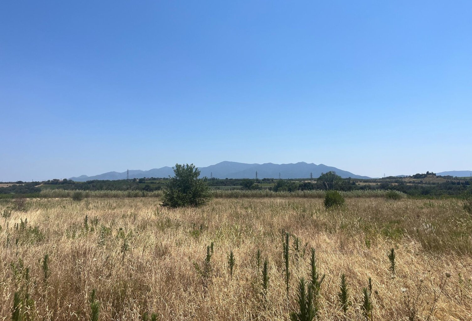 Terrain agricole dans un très bel environnement. — photo 1