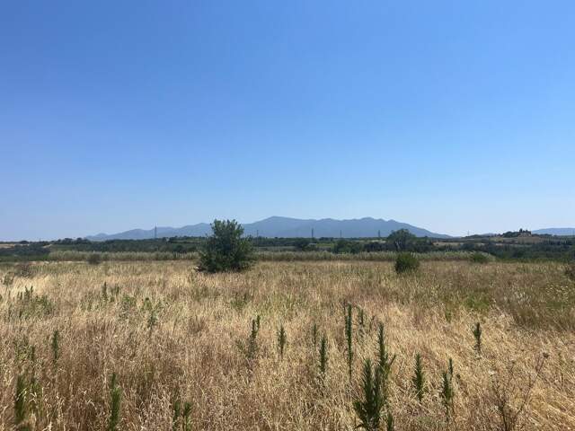 Terrain agricole dans un très bel environnement. — photo du bien