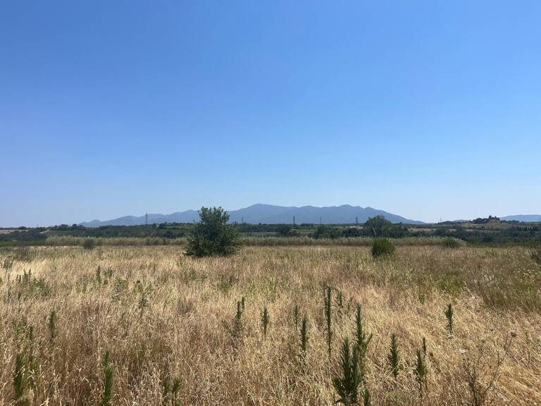 Terrain agricole dans un très bel environnement. — photo 1