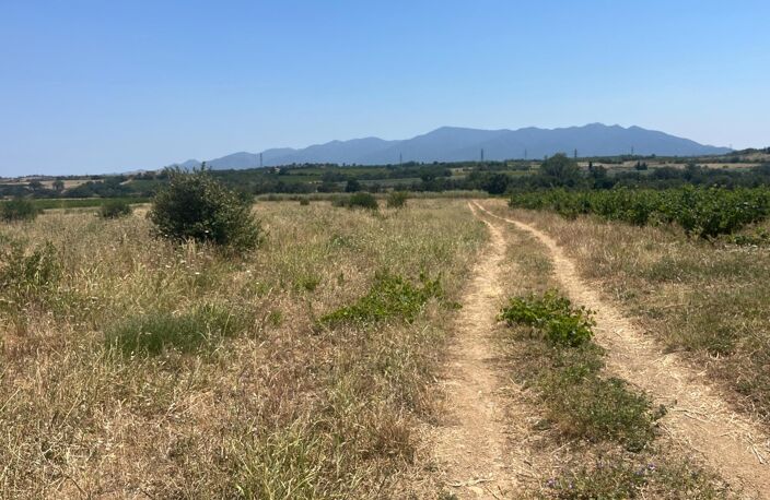 Terrain agricole dans un très bel environnement. — photo 3
