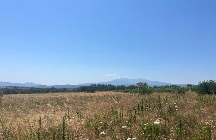 Terrain agricole dans un très bel environnement. — photo 5
