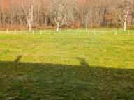 MAISON DE CAMPAGNE 111,76 m2 SUR 36,14 ARES — photo 3