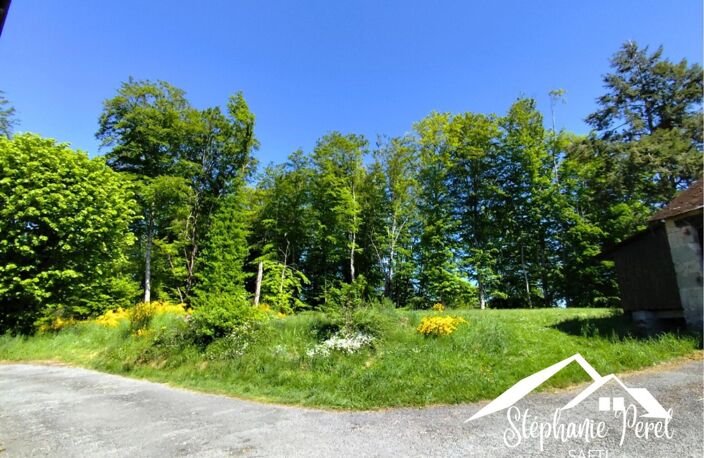 Maison et sa pension canine — photo 5