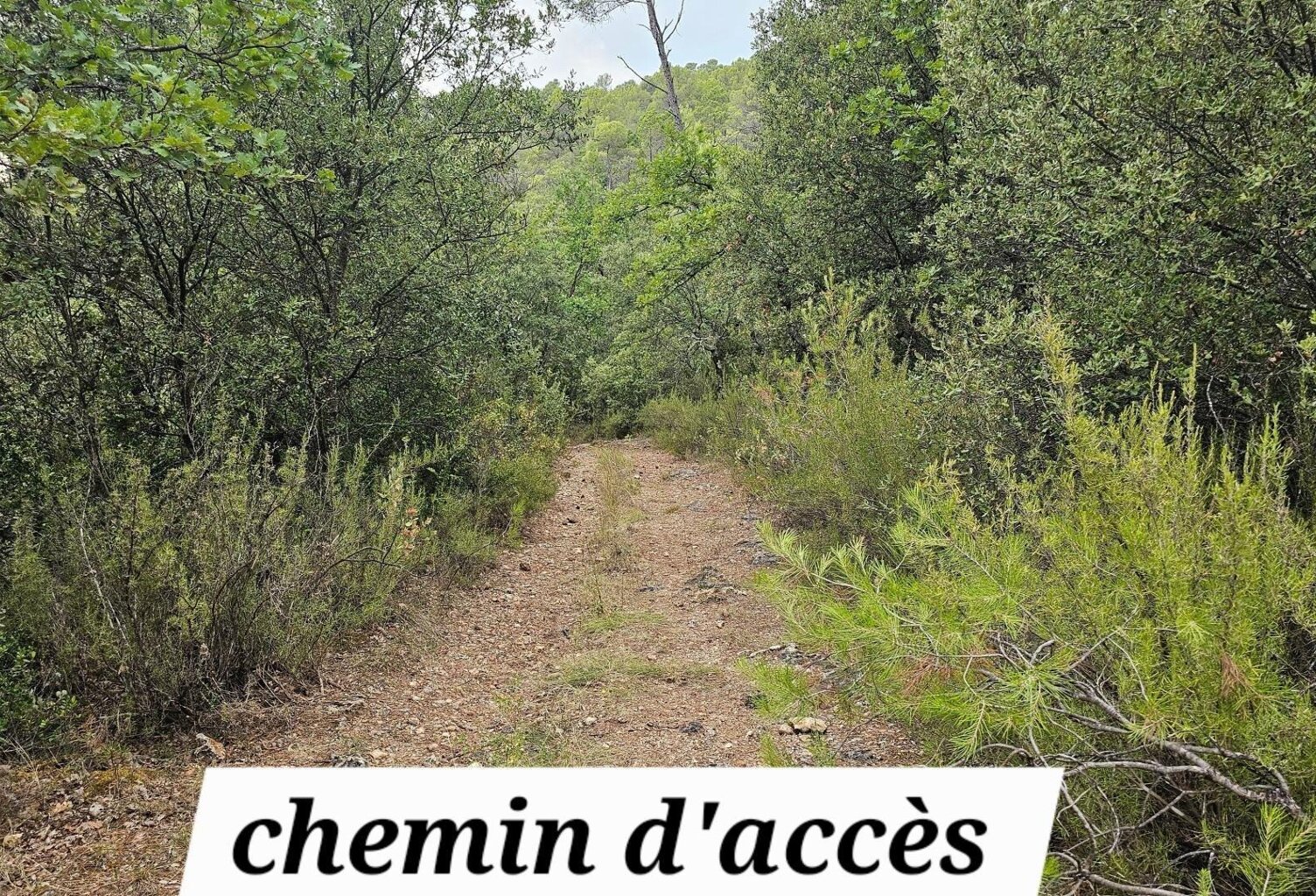 TERRAIN EN ZONE NATURELLE  UN ÉCRIN DE VERDURE À PRÉSERVER — photo 1