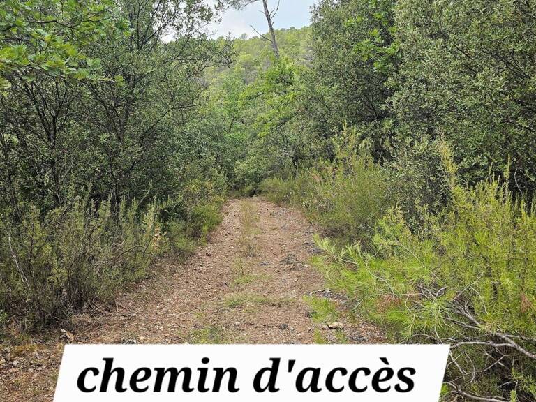 TERRAIN EN ZONE NATURELLE  UN ÉCRIN DE VERDURE À PRÉSERVER — photo 1