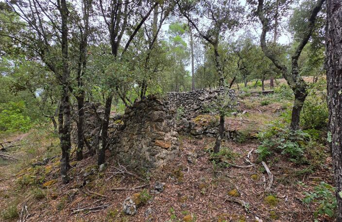 TERRAIN EN ZONE NATURELLE  UN ÉCRIN DE VERDURE À PRÉSERVER — photo 4