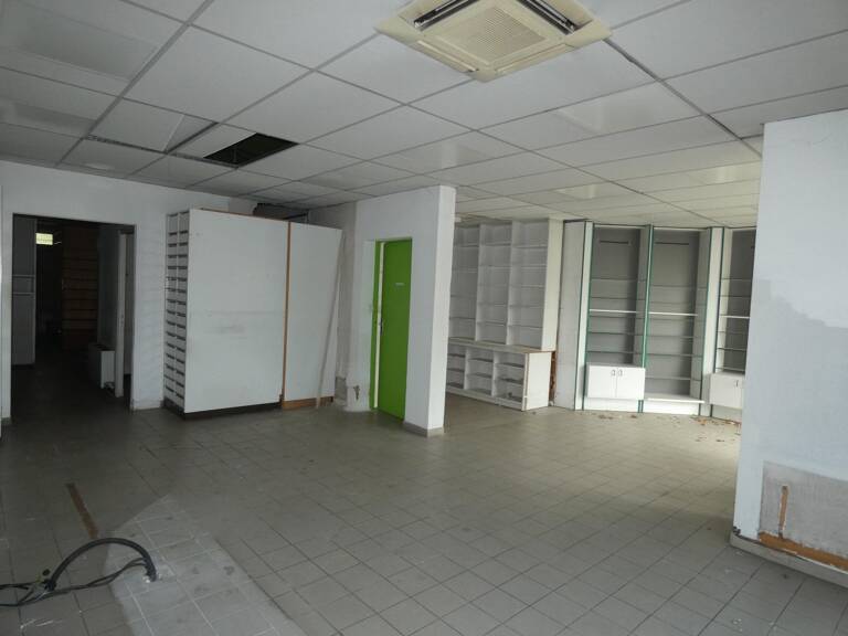 UN BIEN, PLUSIEURS PROJETS  233 m² HABITABLES + LOCAL DE 93 m²  PARCELLE 960 m² — photo 1