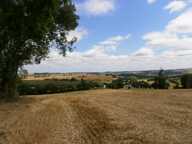 Grand Terrain de 3765 m² environ en position dominante.Vue exceptionnelle. — photo 2