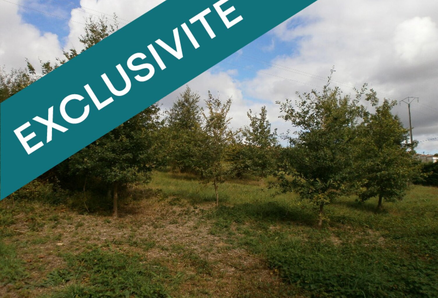 Idéal maison bois. Grand terrain de 1566 m² Astaffort. — photo 1