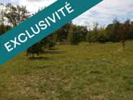 Idéal maison bois. Grand terrain de 1566 m² Astaffort. — photo 3