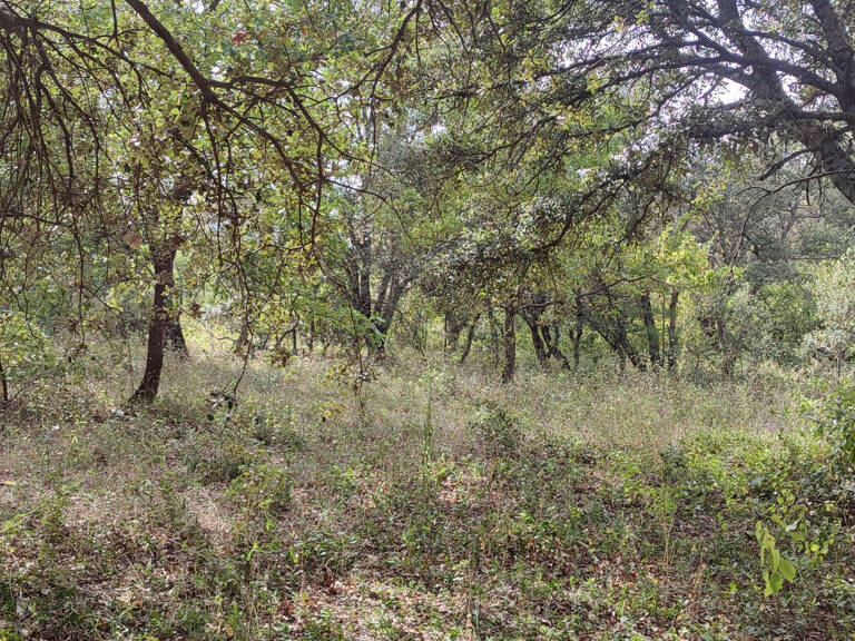 Terrain à bâtir de 1100 m2 au calme absolu — photo 1